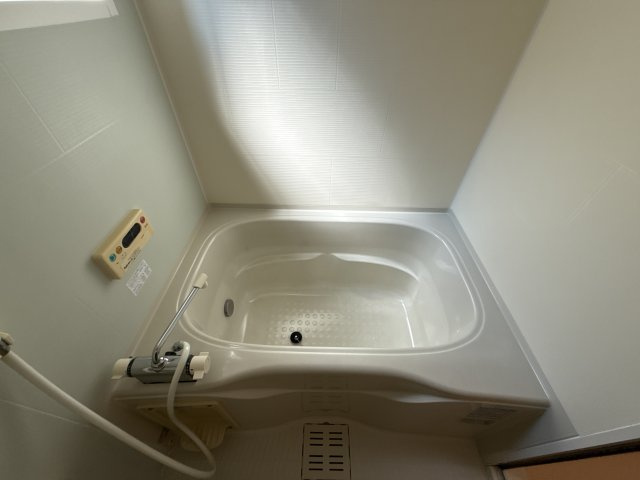 プレアデスＢの浴室