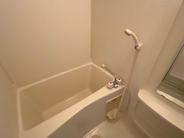 ヴィレッジ熊見の浴室