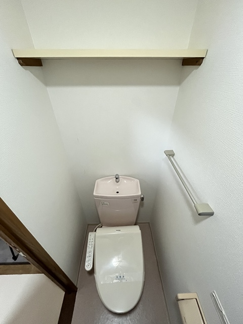 プルーリオンⅢのトイレ