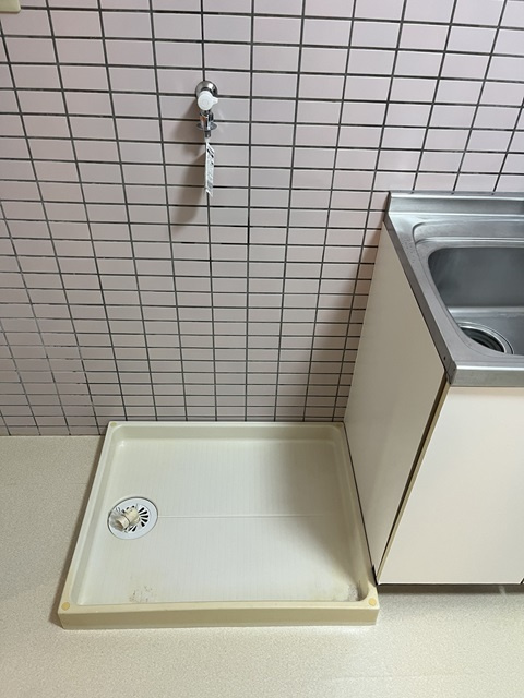 プルーリオンⅢのその他