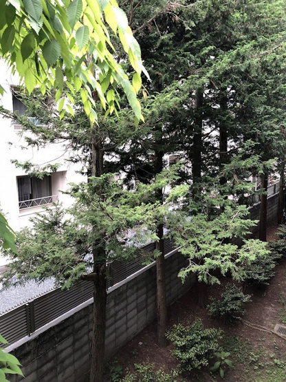 【庭】グランレブリー御所東Ⅱ