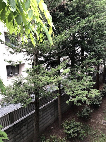 【庭】グランレブリー御所東Ⅱ 