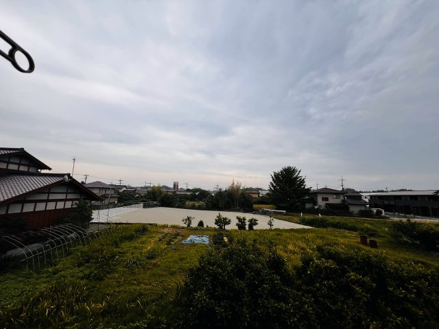 バッキンガムパレスの展望