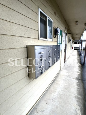  | フェイスきたの