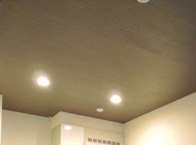 【その他】 | フェリーチェ東高円寺Ⅱ | 照明（同一仕様写真）