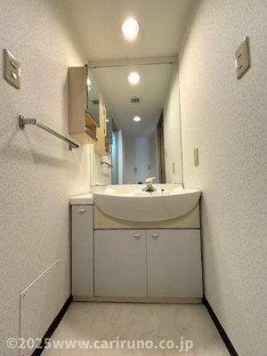 【独立洗面台】 | ファインドエル2新宿