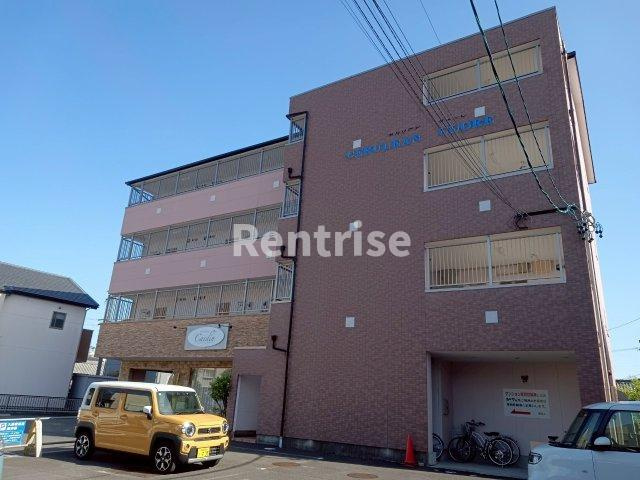 セルリアンクォーレ