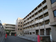 コスモハイム元住吉の画像