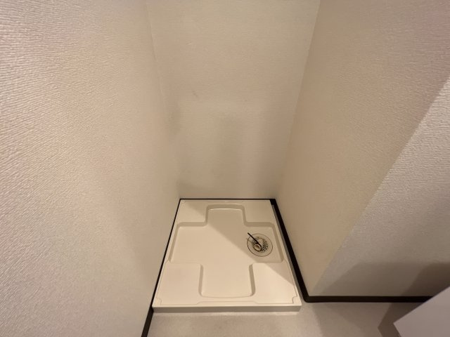 ラフィネコートのその他