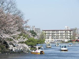 石神井公園まで714m