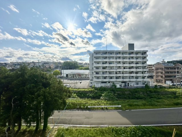森林公園パークマンションの展望