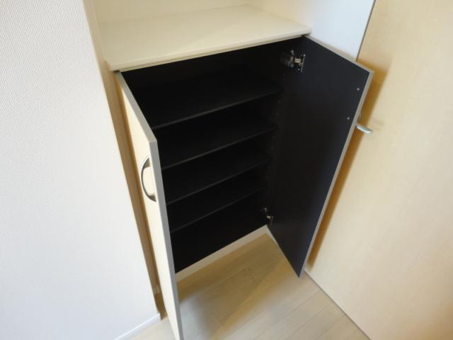 モイス・シャームⅡの収納|下駄箱