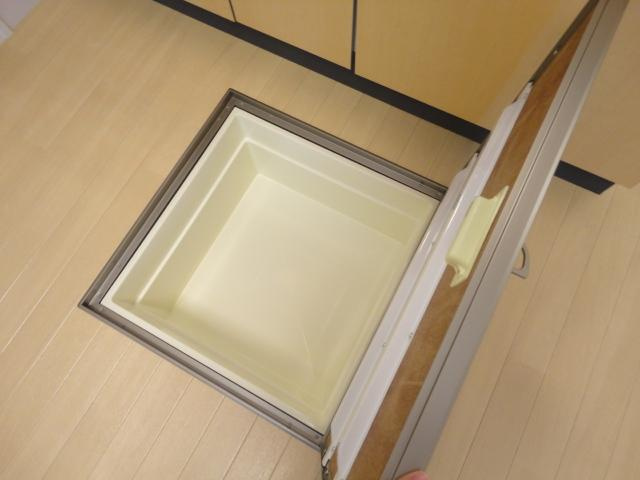 モイス・シャームⅡの収納|床下収納