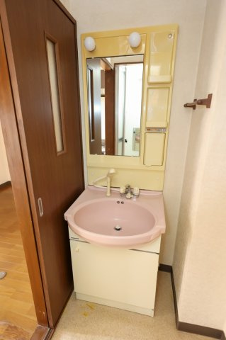 ラ・セゾン城北の洗面所