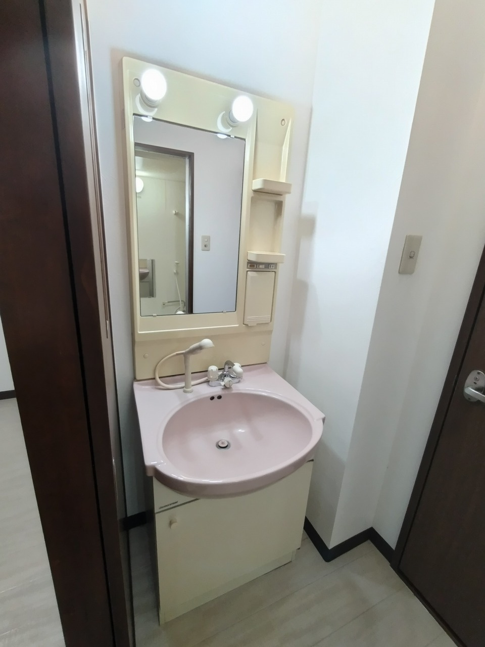 ラ・セゾン城北の洗面所