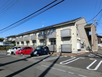 ブルームの画像