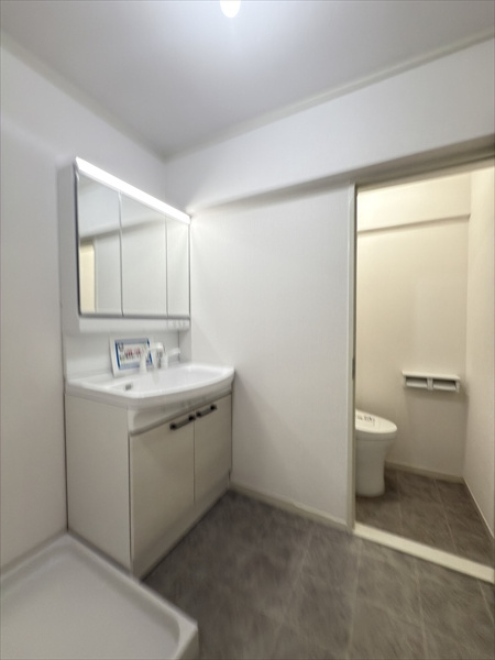 ライオンズマンション高宮第2の独立洗面台