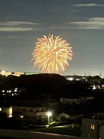 【その他】の画像