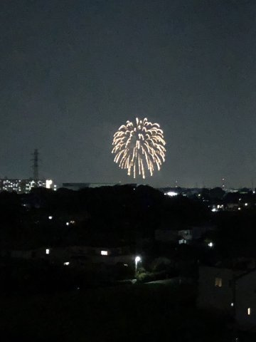 【その他】の画像