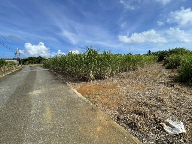 下地字上地334-1