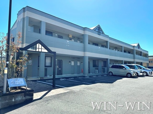 フィールドピア E