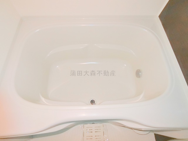 スカイコート品川パークサイドⅡの浴室