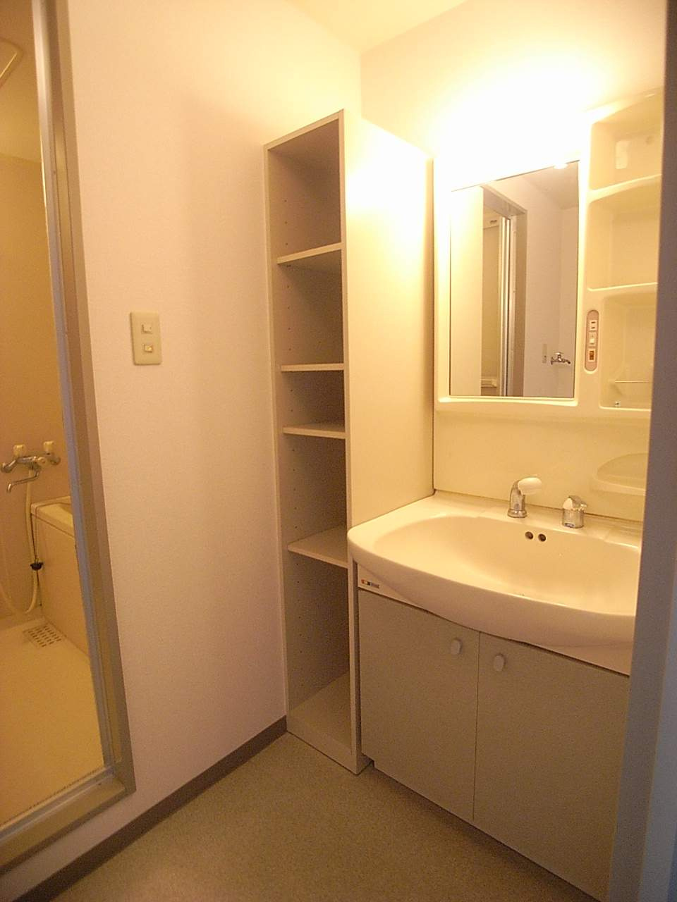 グランドハイツ城山の洗面所