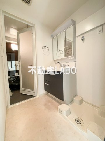 エステムコート難波WEST-SIDEⅡベイフレックスの洗面所