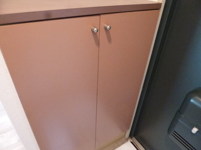 メゾンラフォーレⅡの玄関|他部屋参考写真