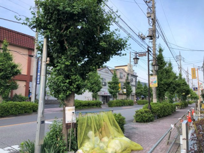 【周辺】 | メヌエット