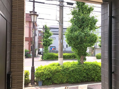 【展望】 | メヌエット