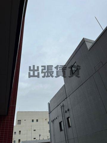 仲介手数料0円！！さくらHills NISHIKI Platinum Residenceの展望