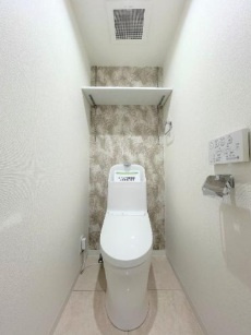 ライオンズマンション武里のトイレ|トイレも気になるポイント