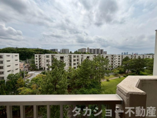 【展望】