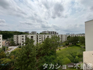 【展望】