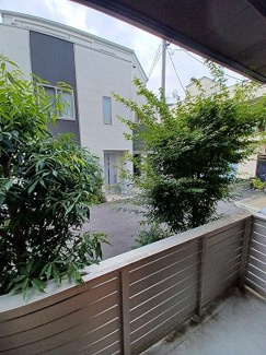 【展望】