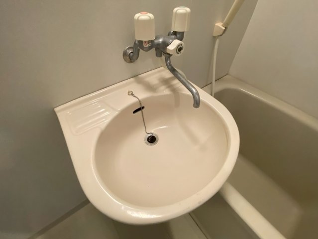 エスティーマンションの洗面所