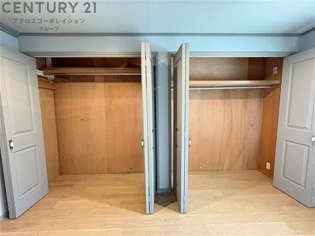 衣類やアクセサリー、小物類の収納が便利で整理整頓がしやすく、部屋の美観を保ちつつ、スペースを最大限に活用できます。衣服のしわやダメージを防ぎ、長持ちさせることができます。