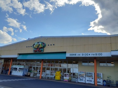 【周辺】 | フローレス・Ｋ | サンユー新鮎川店まで1100m