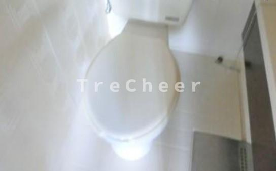 ベルハイツ余丁町のトイレ