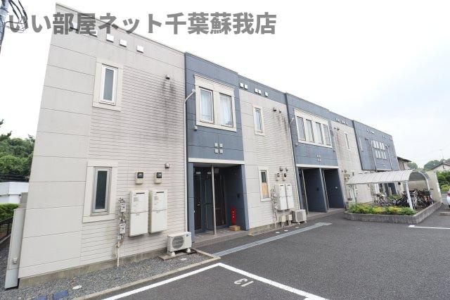 ワンダーランド