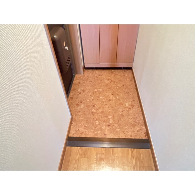 ルミナスコートの玄関