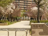 光徳公園（717m） 