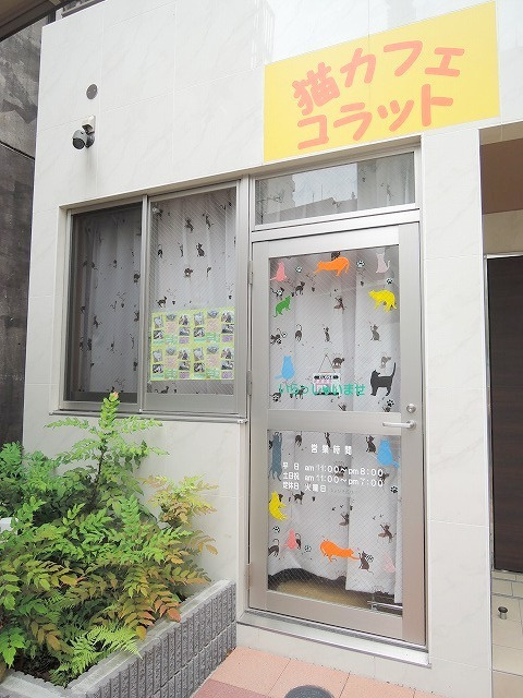 シュシュ向島のその他共用部分|★猫カフェ／コラット★