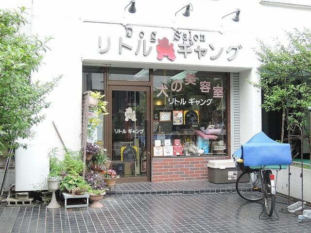 シュシュ向島のその他共用部分|★ドッグサロン／リトルギャング★