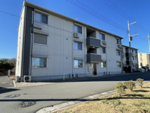 サンセイルの画像