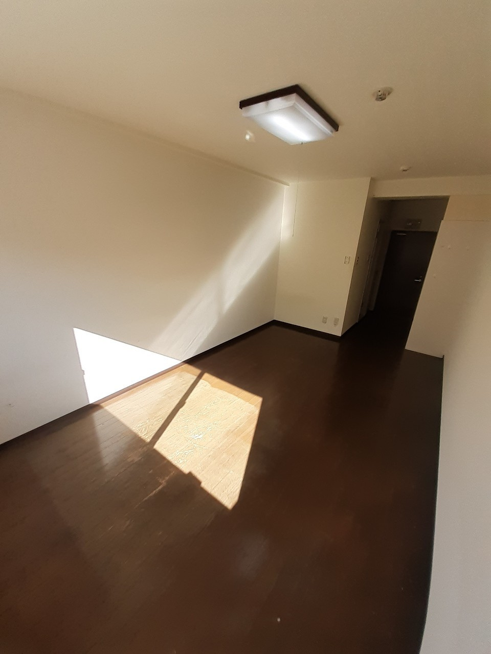あるゾウパレス沢口町