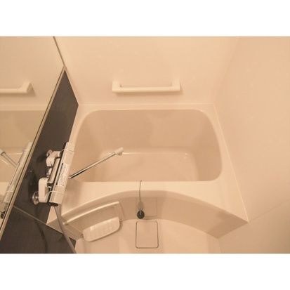 ルネサンスコート錦糸町の浴室