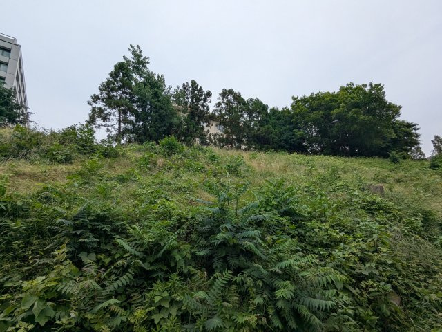 三の丸殿|名古屋市の賃貸ならMy賃貸の展望|三の丸殿