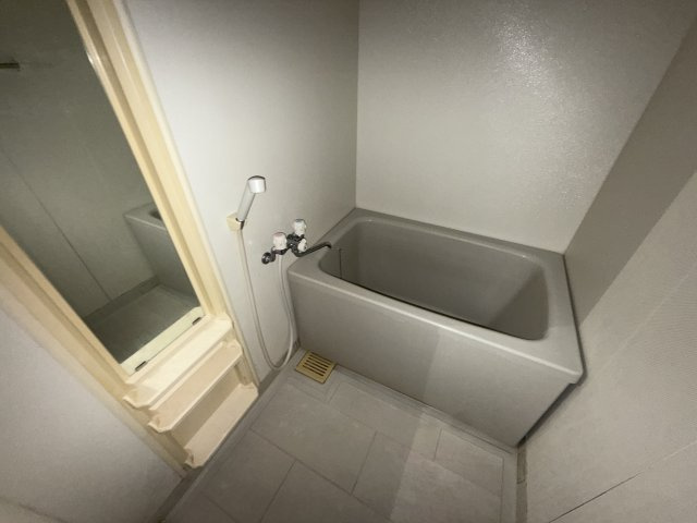 ピア・ルミナス2番館の浴室